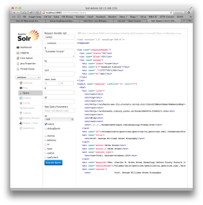 A screenshot showing Apache Solr working.